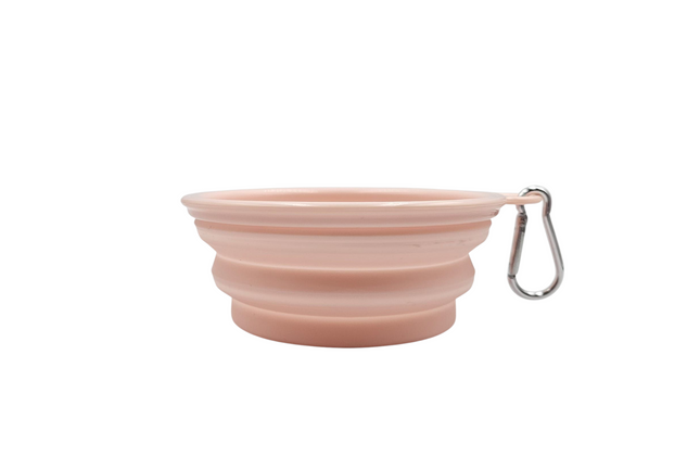 Pawfect - Collapsible Silicone Pet Bowl + Carabiner Clip