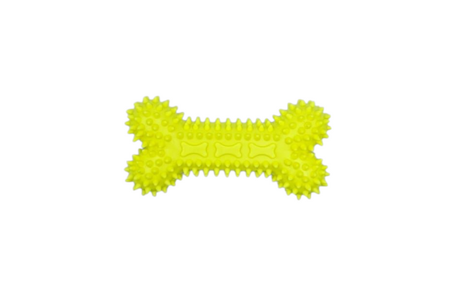 Pawfect Chew Toys - Small Spiky Bone