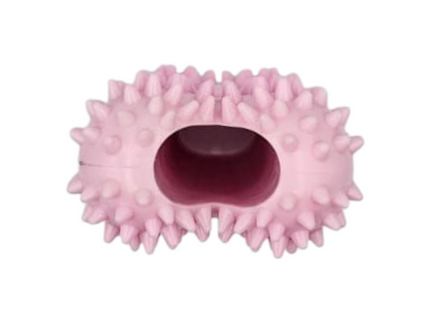 Pawfect Chew Toys - Small Spiky Bone