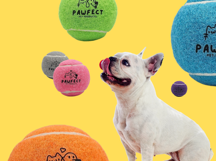 Pawfect Pet Tennis Balls